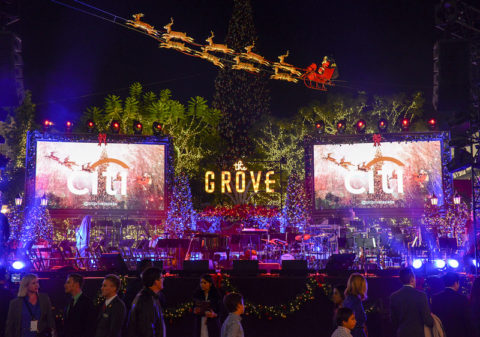 The Grove Tree Lighting