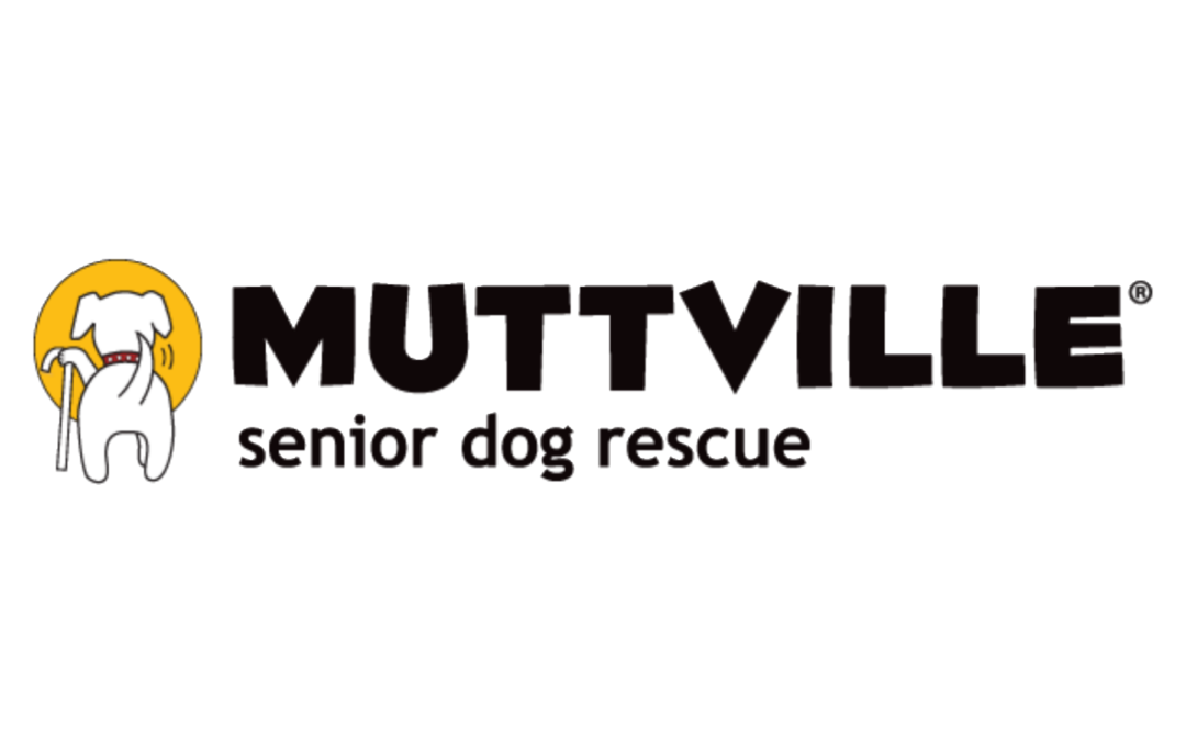 Muttville Senior Dog Rescue