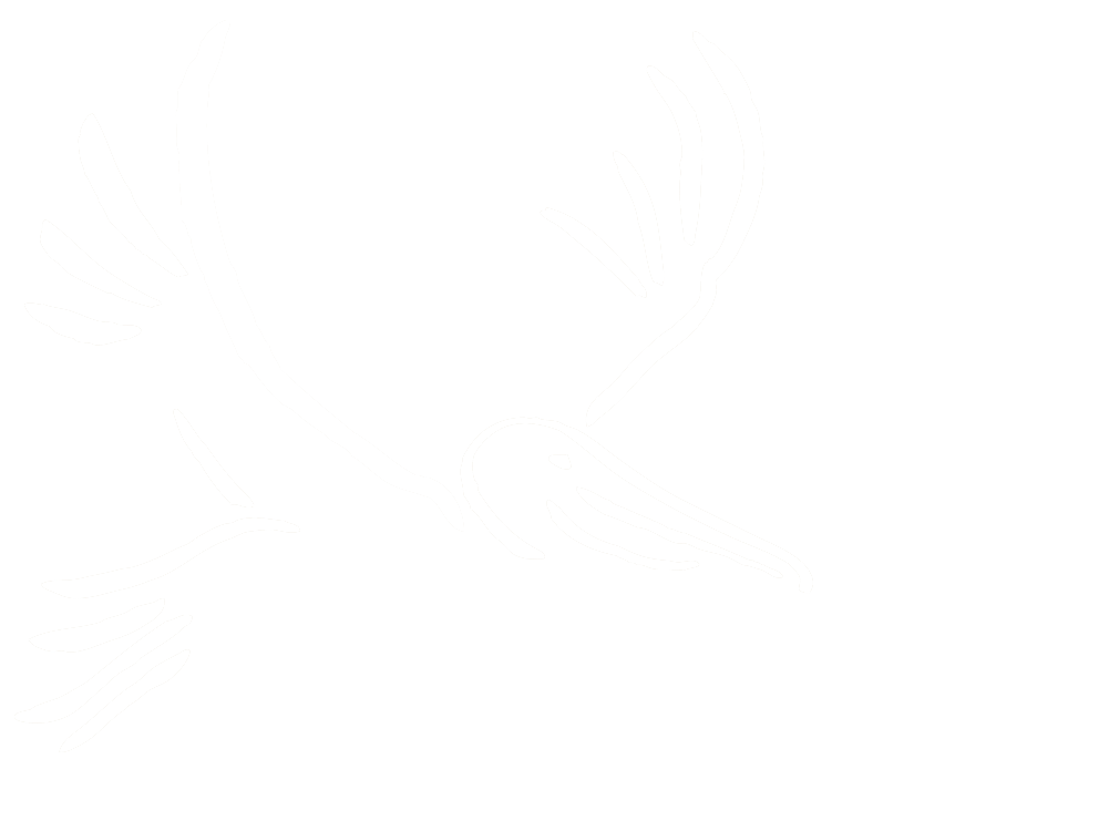Brown Pelican Wifi